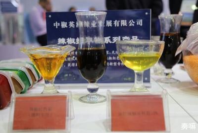 德州市招才引智成果展驚艷亮相，八大亮點引領人才新高度